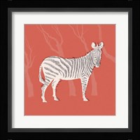 Plains Zebra I Framed Print