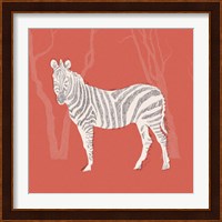 Plains Zebra II Fine Art Print