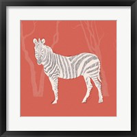 Plains Zebra II Framed Print