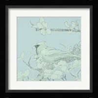 Backyard Bird Sketch II Framed Print