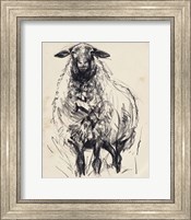 Charcoal Sheep I Fine Art Print