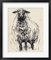 Charcoal Sheep I Framed Print