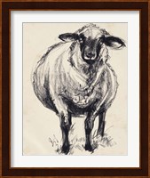 Charcoal Sheep II Fine Art Print