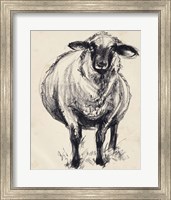 Charcoal Sheep II Fine Art Print