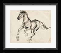 Gestural Apaloosa I Framed Print