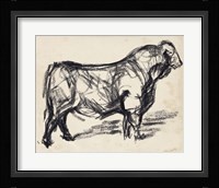 Black Angus I Framed Print
