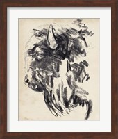 Bison Head Gesture II Fine Art Print