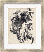 Bison Head Gesture II Fine Art Print