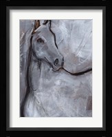 White Horse Contour I Framed Print