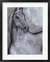 White Horse Contour I Framed Print