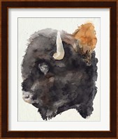 Watercolor Bison Profile II Fine Art Print