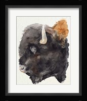 Watercolor Bison Profile II Framed Print