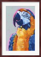 Pop Art Parrot I Fine Art Print