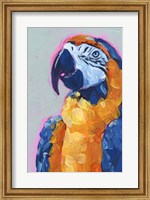 Pop Art Parrot I Fine Art Print