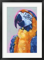 Pop Art Parrot I Framed Print