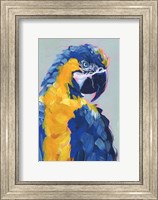 Pop Art Parrot II Fine Art Print