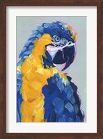 Pop Art Parrot II Fine Art Print
