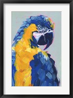 Pop Art Parrot II Framed Print