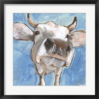 Cattle Close-up I Fine Art Print