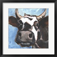 Cattle Close-up II Framed Print