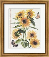 Autumn Sunflowers I Fine Art Print