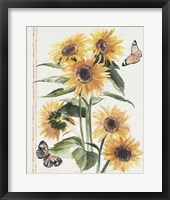 Autumn Sunflowers I Framed Print