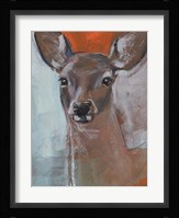 Doe Eyes II Fine Art Print
