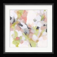 Dogwood Prism IV Framed Print
