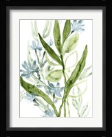 Meadow Blues I Framed Print