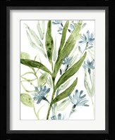 Meadow Blues II Framed Print