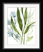 Meadow Blues IV Framed Print