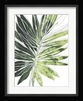 Expressive Palm I Framed Print