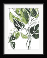 Expressive Palm II Framed Print