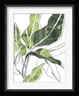 Expressive Palm III Framed Print