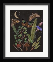 Dark Forest I Framed Print