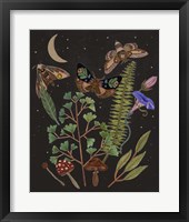 Dark Forest I Framed Print