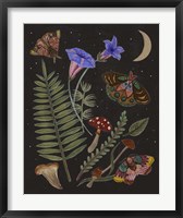 Dark Forest II Fine Art Print