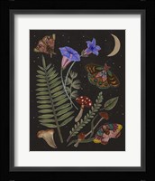 Dark Forest II Framed Print