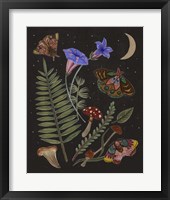 Dark Forest II Framed Print