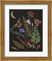 Dark Forest III Fine Art Print