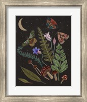 Dark Forest III Fine Art Print