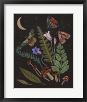 Dark Forest III Fine Art Print