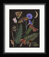 Dark Forest IV Framed Print