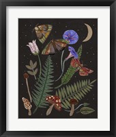 Dark Forest IV Framed Print