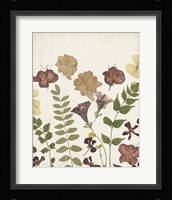 Pressed Flower Arrangement II Framed Print