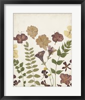 Pressed Flower Arrangement II Framed Print