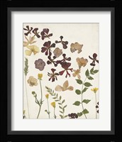 Pressed Flower Arrangement III Framed Print