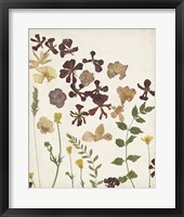 Pressed Flower Arrangement III Framed Print