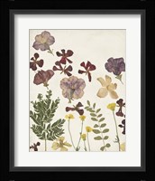 Pressed Flower Arrangement IV Framed Print