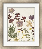 Pressed Flower Arrangement IV Fine Art Print